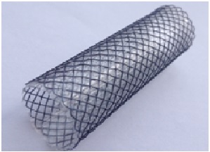 Tracheal And Bronchial Stent