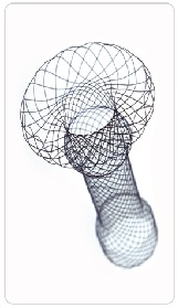 Stent Custermization Service