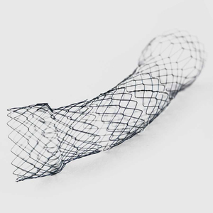 Segmented Esophageal Stents