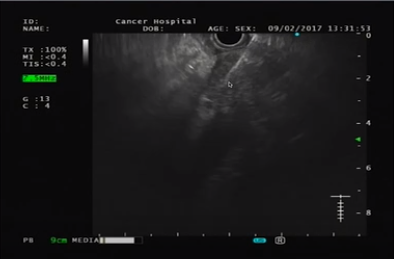 QQ图片20190810151828